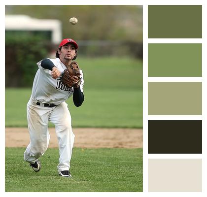 Game Baseball Baseball Player Image